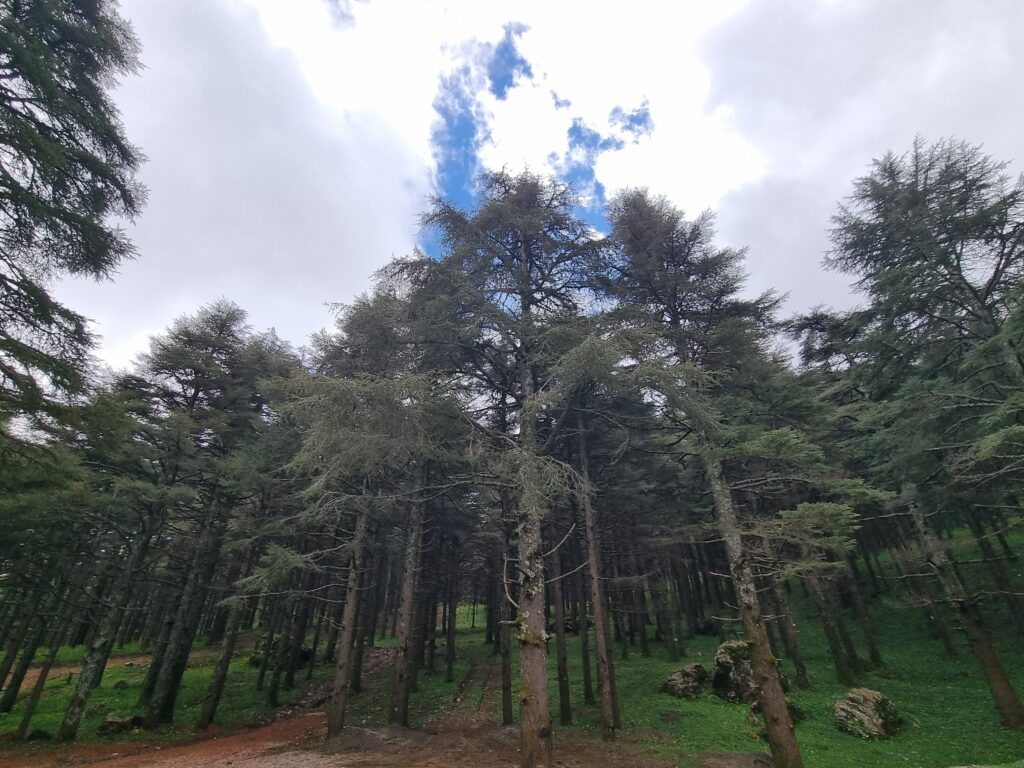 Adrar Tidghine